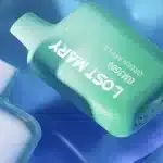 Exploring The World Of Lost Mary Vape
